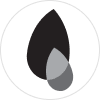 Asset icon